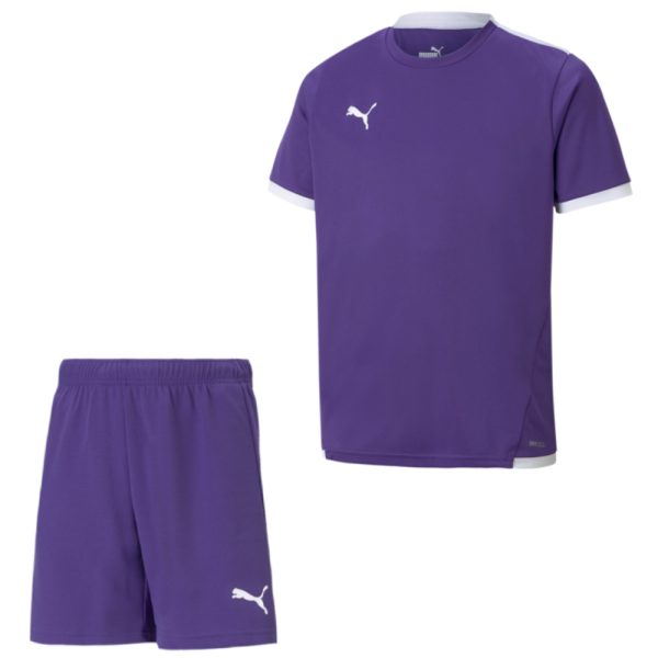 PUMA teamLIGA Trainingsset Kids Paars Wit